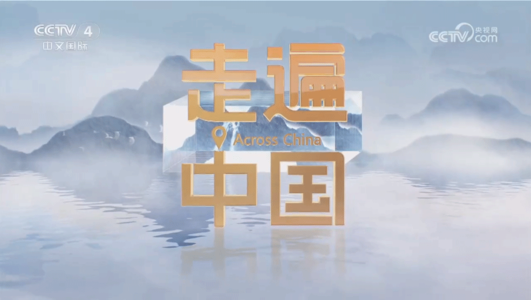 央视中文国际频道聚焦上海yd2333云顶电子游戏智能化建设