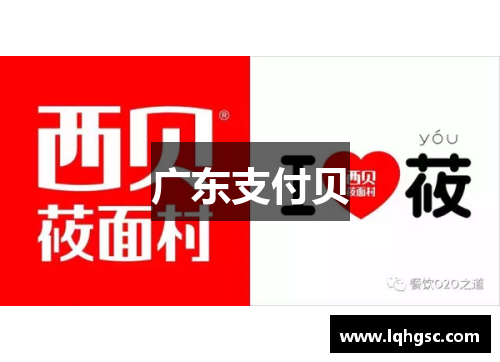 广东支付贝